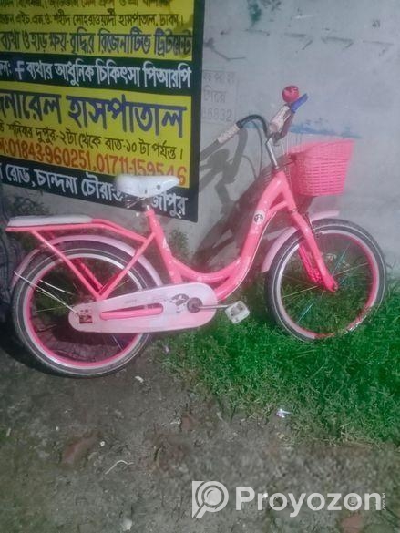 সুন্দর একটি সাইকেল