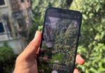 Apple iPhone 13 (Used)