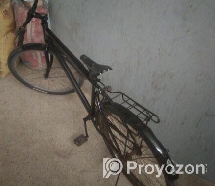 Duranta Bicycle for sale