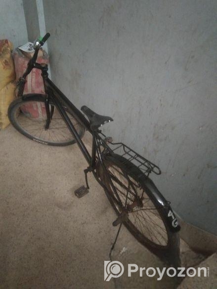 Duranta Bicycle for sale