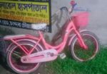 সুন্দর একটি সাইকেল