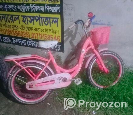 সুন্দর একটি সাইকেল