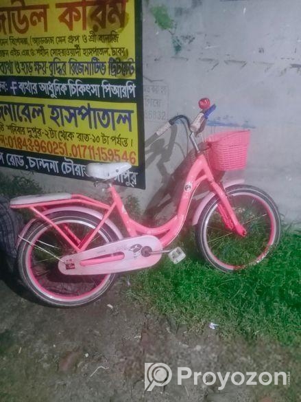 সুন্দর একটি সাইকেল