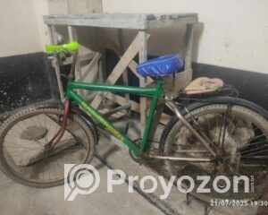 fitted-32_2025-08-04_10-00-46