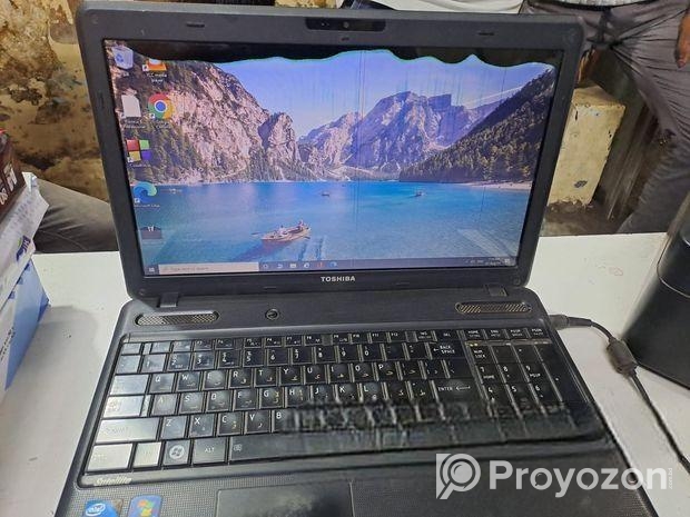 তুশিবা লেপ্টব