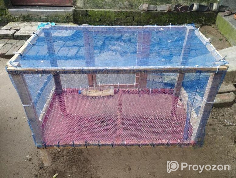 একটি খাচা বিক্রি করা হবে