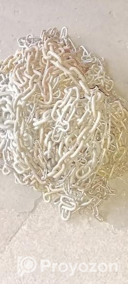 এস এসচেন