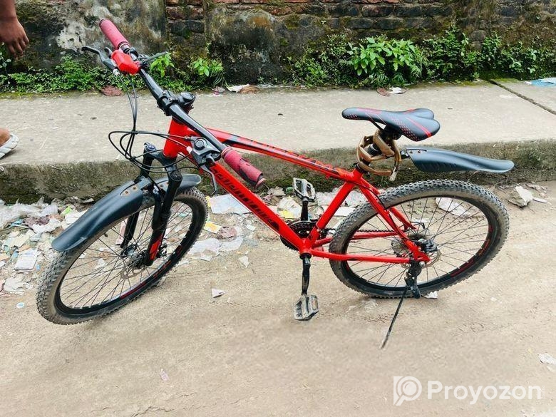 Bicycle For Sale