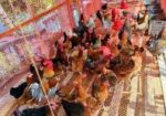 টাইগার মুরগি বিক্রি হবে ৩০ দিনের বাচ্চা