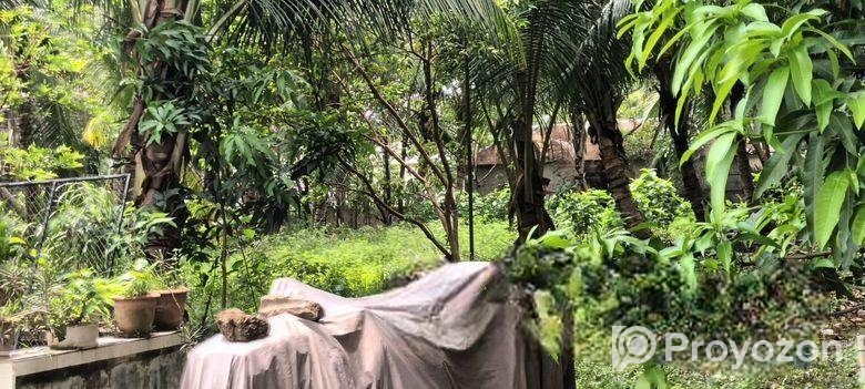 সিলেটের হবিগঞ্জে নবিগঞ্জ হাওরে ফিসারিজ উপযোগী এক দ