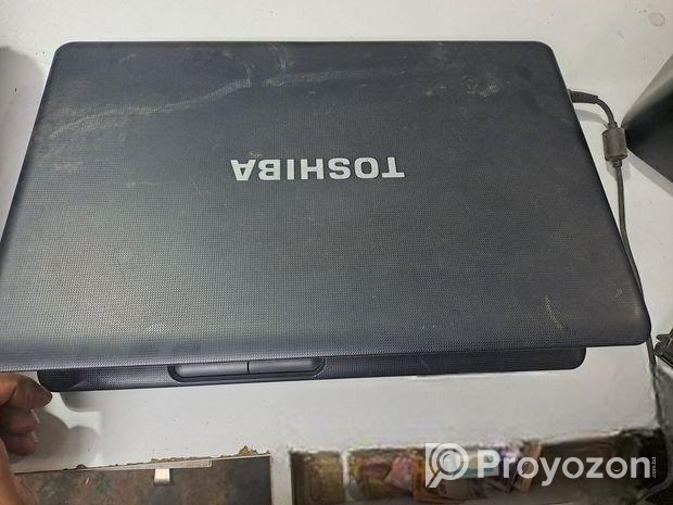 তুশিবা লেপ্টব