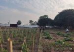 plot sell