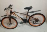 Duranta Bicycle for sale