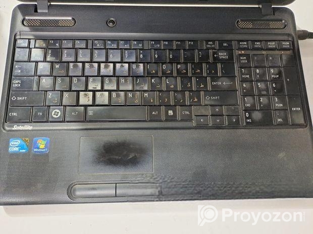 তুশিবা লেপ্টব