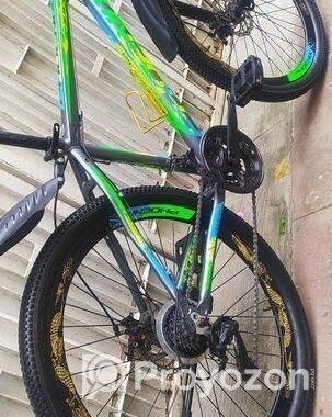 Aluminum Phoenix Gear Cycle(সাইকেল)