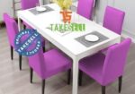 China Solid Chair Cover13.