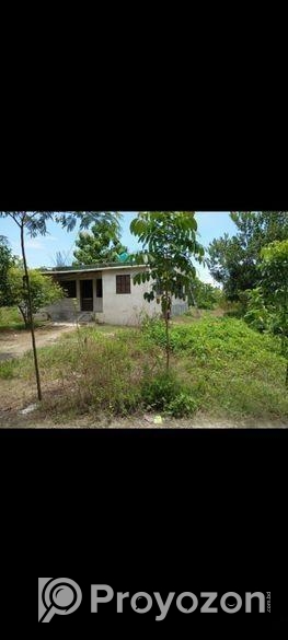 বাড়ী সহ জায়গা বিক্রি হবে