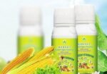 Nutriplant Organic Plus Fertilizer 100ml Amino Aci