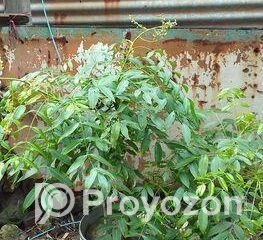 fitted-34_2025-08-28_10-57-31