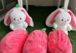 Strawberry Bunny