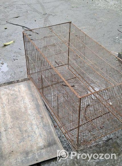 18/36 mojbut 3 khoper khacha