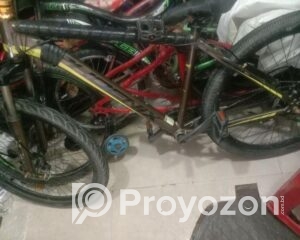 fitted-35_2025-08-04_10-39-43
