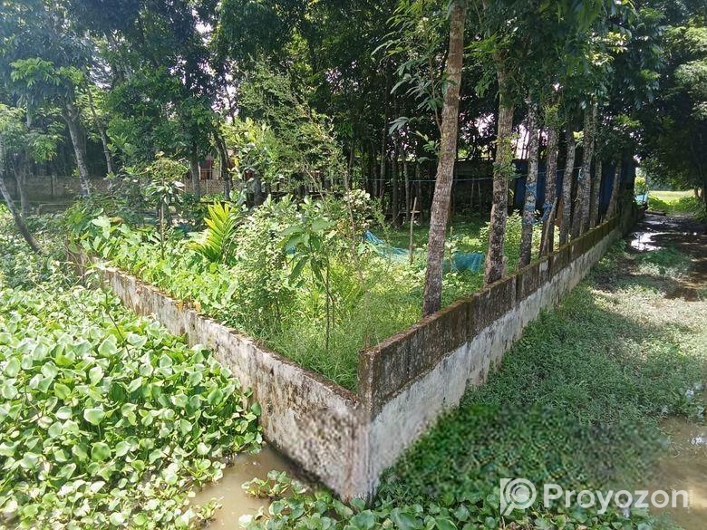 পাকারাস্তার পাশে, বাড়ি করার উপযোগী ৫ ও ৬.৫ শতকের দ