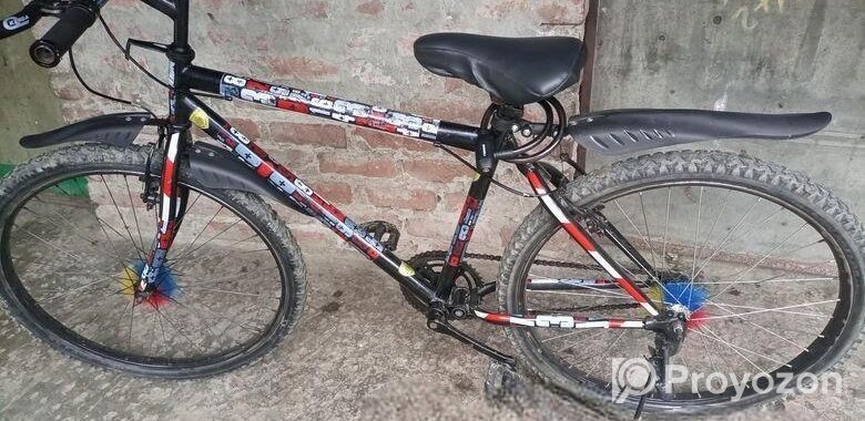 Bicycle for sale