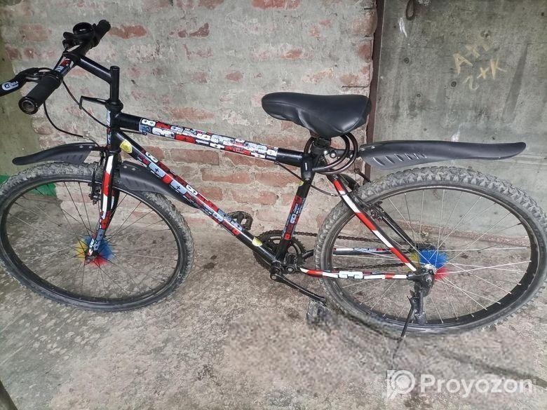 Bicycle for sale