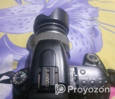 sony camera