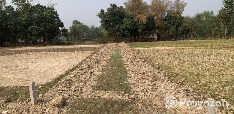 ৮৬০০০ স্কয়ারফিট এগ্রোবেইজ জমি ভাড়া শ্রীপুরে