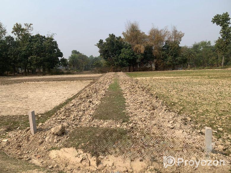 ৮৬০০০ স্কয়ারফিট এগ্রোবেইজ জমি ভাড়া শ্রীপুরে