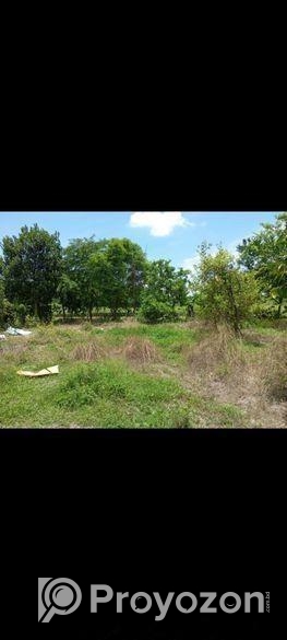 বাড়ী সহ জায়গা বিক্রি হবে