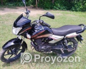 fitted-35_2025-08-24_16-57-37