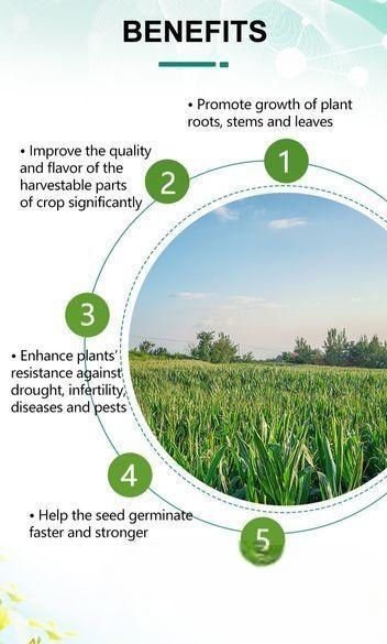 Nutriplant Organic Plus Fertilizer 100ml Amino Aci