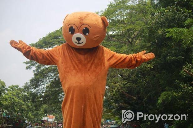 টেডি ড্রেস (Used)