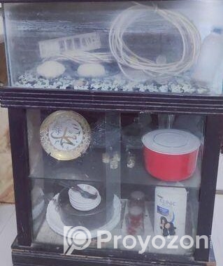 Fish aquarium
