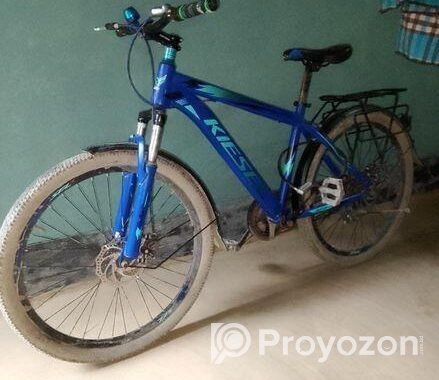 Phoenix Bicycle for sale