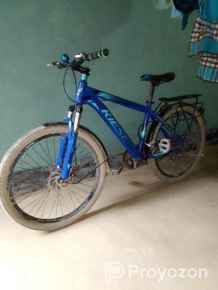 Phoenix Bicycle for sale