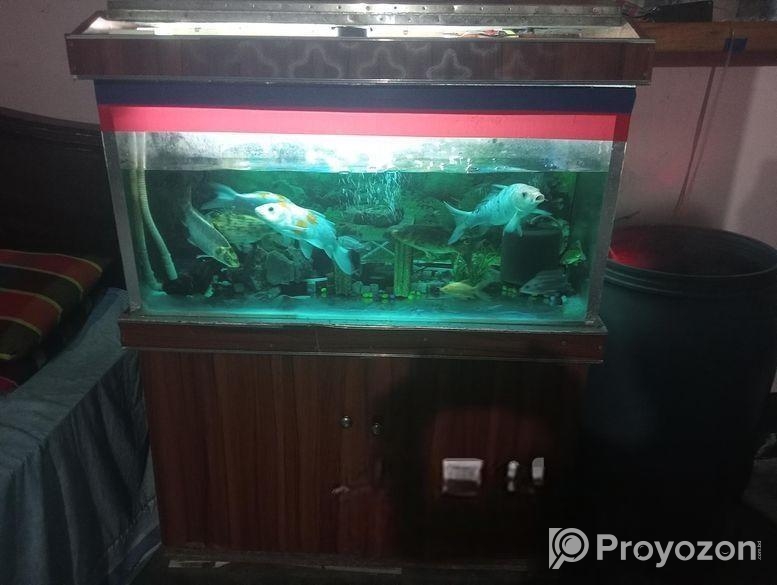 ৩ ফুট বাই দেড় একুরিয়াম