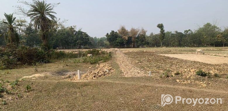 ৮৬০০০ স্কয়ারফিট এগ্রোবেইজ জমি ভাড়া শ্রীপুরে