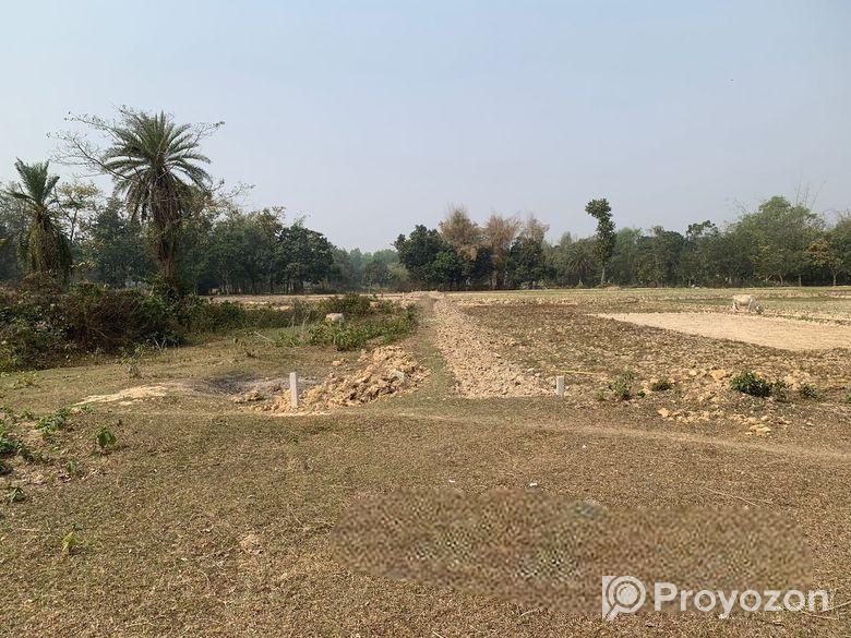 ৮৬০০০ স্কয়ারফিট এগ্রোবেইজ জমি ভাড়া শ্রীপুরে