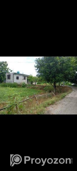 বাড়ী সহ জায়গা বিক্রি হবে