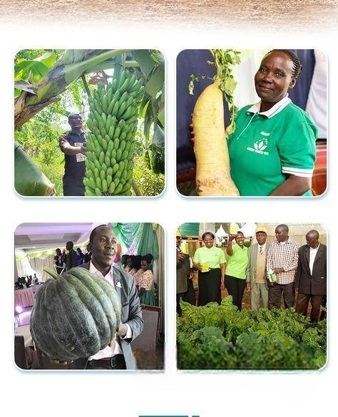 Nutriplant Organic Plus Fertilizer 100ml Amino Aci