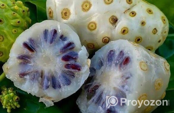 ননি ফল (ঔষুধি ফল)