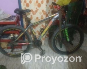 fitted-37_2025-08-03_11-15-19