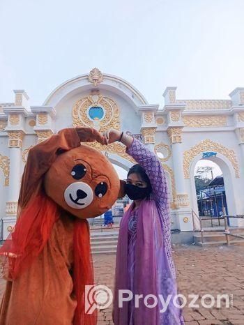 টেডি ড্রেস (Used)