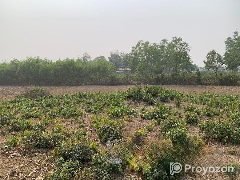 ৮৬০০০ স্কয়ারফিট এগ্রোবেইজ জমি ভাড়া শ্রীপুরে