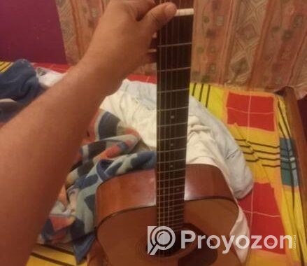 গিটারটি আর্জেন্ট সেল হবে