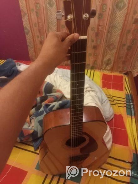 গিটারটি আর্জেন্ট সেল হবে